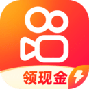 伴侣犬长什么样
