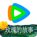 桃鹿乐爷