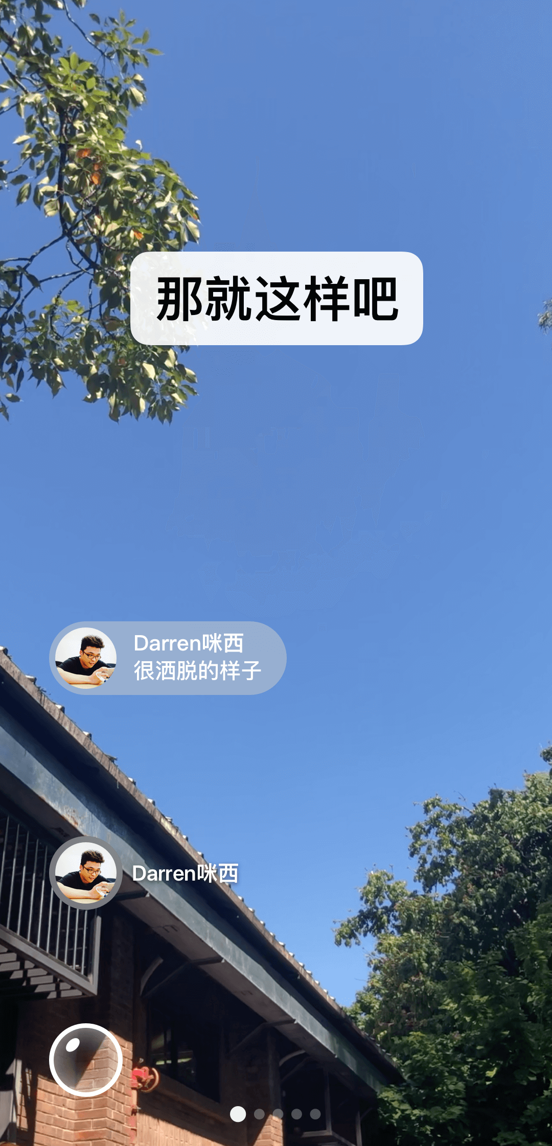 伴侣犬长什么样截图
